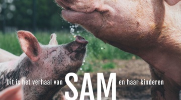 SAM_poster